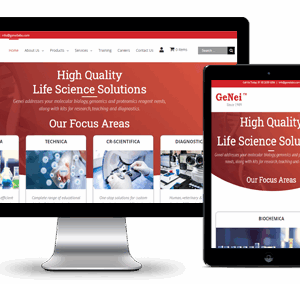 Website - Premium